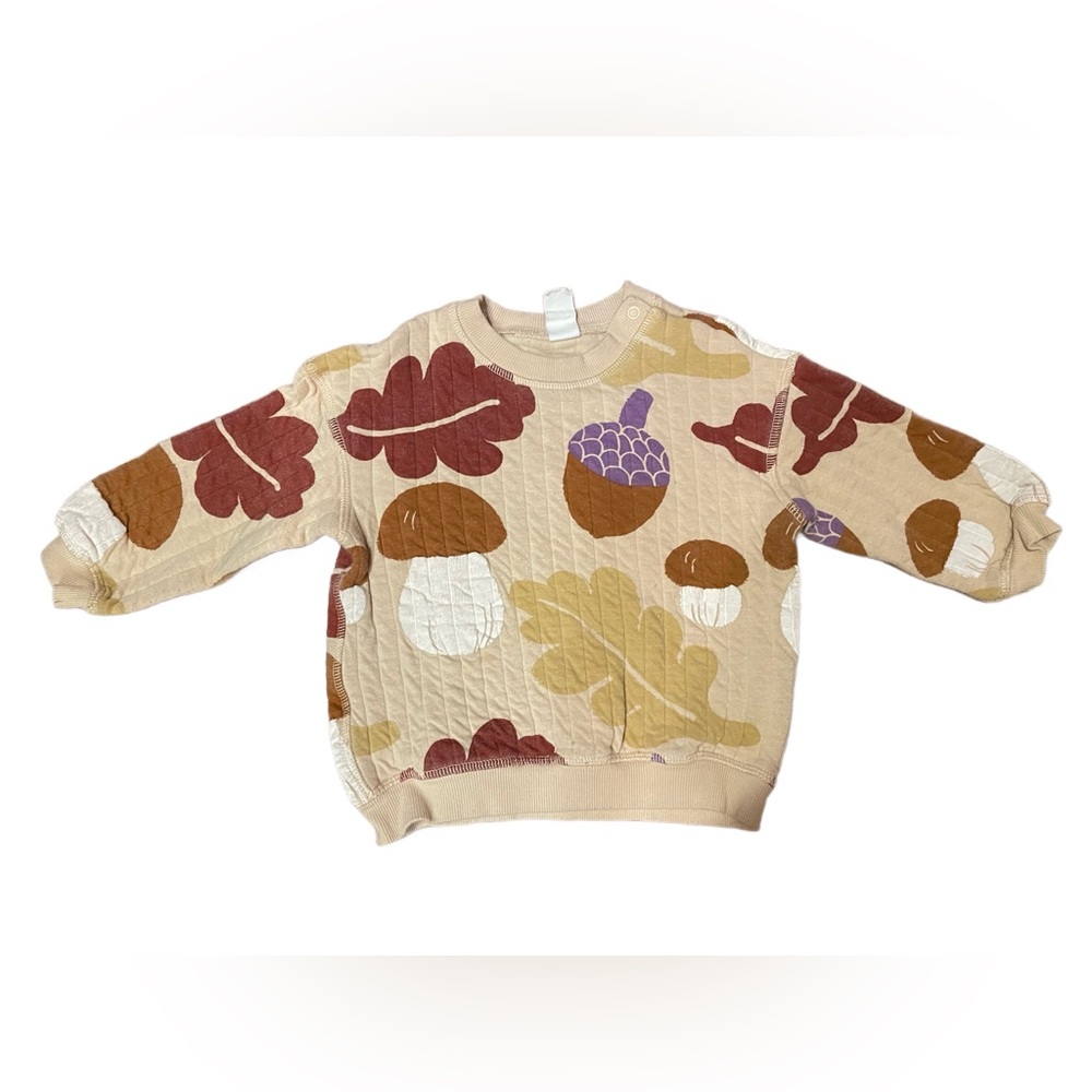 H&M Autumn Fall Acorn Toddler sweatshirt/sweater US 2T